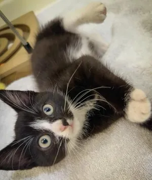 Chloe