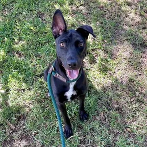 Ruby