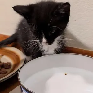 Fern **Off-Site Foster Home**