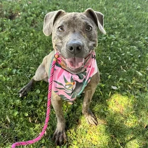 OPHELIA