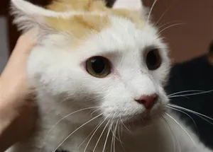 CASPIAN