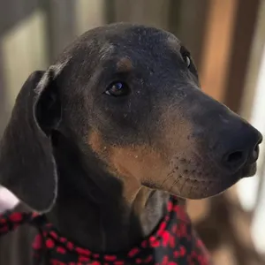 Zoe