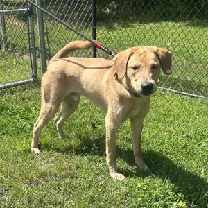 (Found) Richie