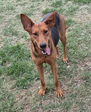 Ruby