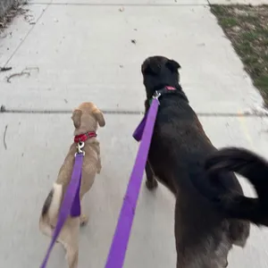 Kris Kross