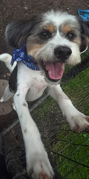 Bernie
