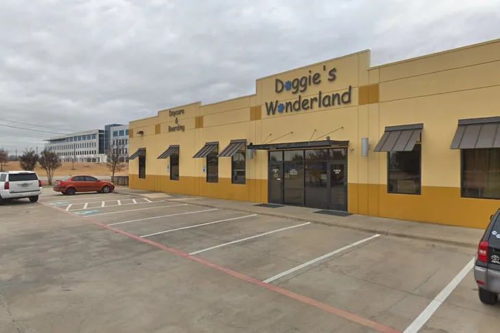 Doggie's Wonderland