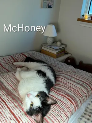 McHoney
