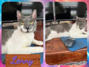 Lenny