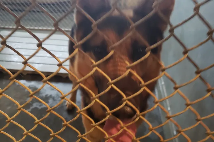Robeson County Animal Center