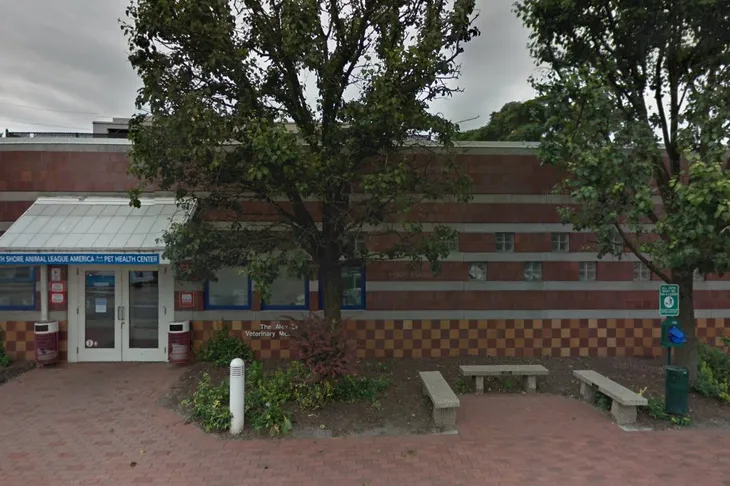 Port Washington Animal Control