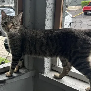 Arthur