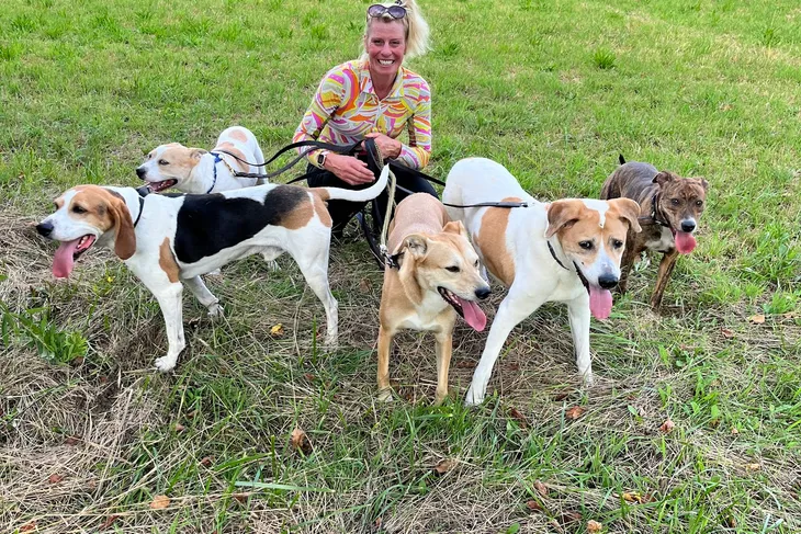 Medina County Animal Shelter