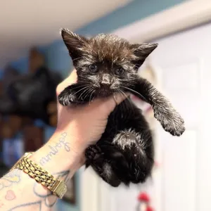 Smalls
