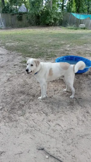 Zac