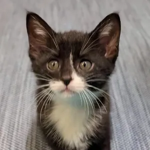 Poppie **Off-Site Foster Home**