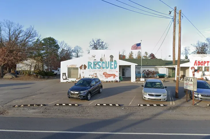 Luzerne County SPCA