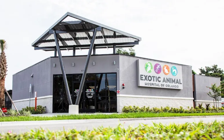 15 Best Vets In Orlando