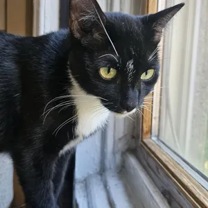 Kuti