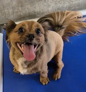 NALA