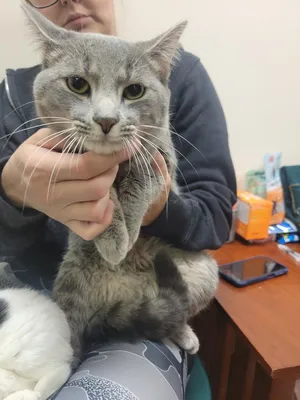 Thomas