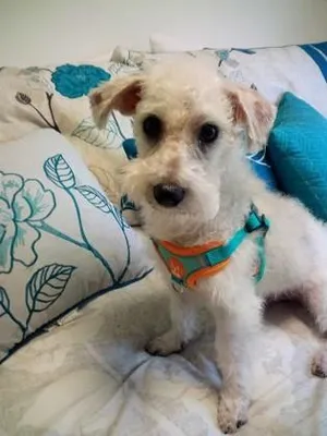 Bailey