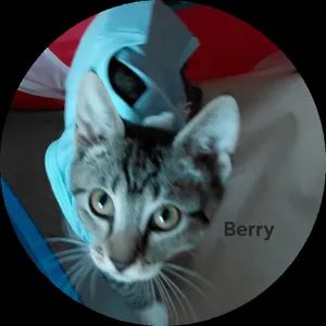 Berry