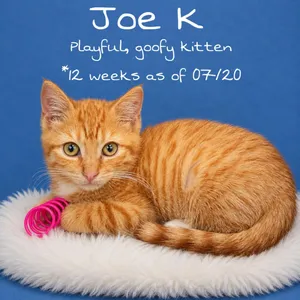 Joe K (FCID # 07/10/2026-167)