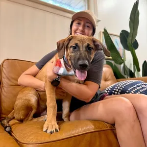 Atlas Moose the Floppy Eared Goober