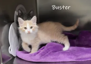 Buster