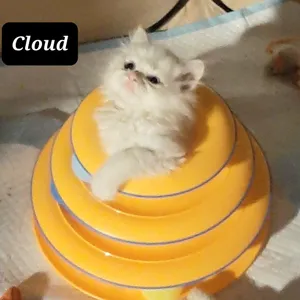 Cloud