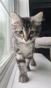 Zoe