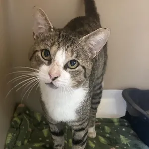 Tony