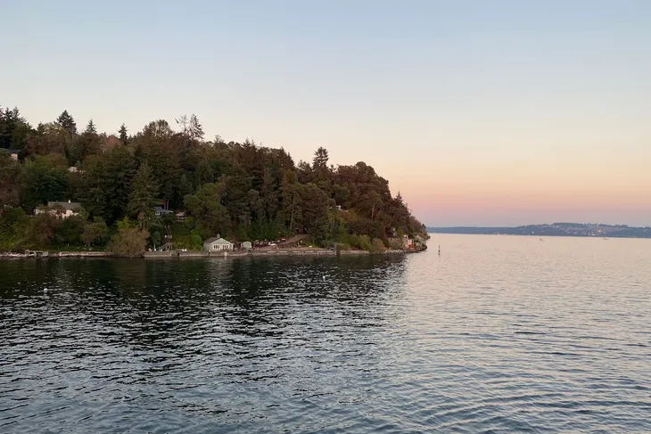 Vashon Island Pet Protection