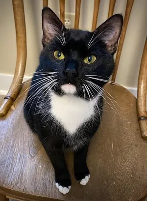 Quinn