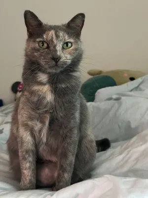 Eloise