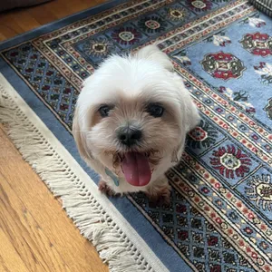Precious