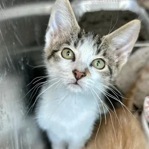 Marty