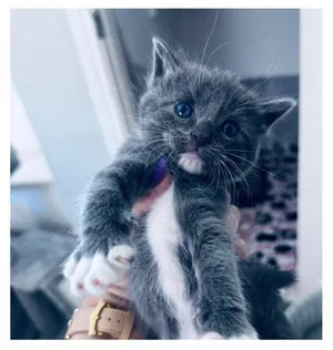 Jack