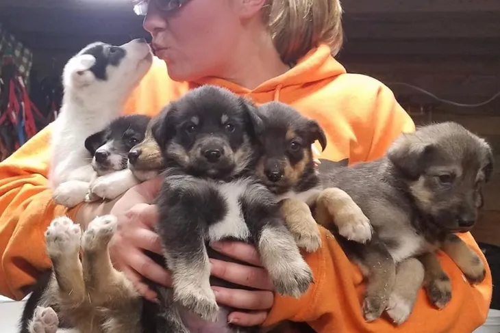 Conway Animal Control