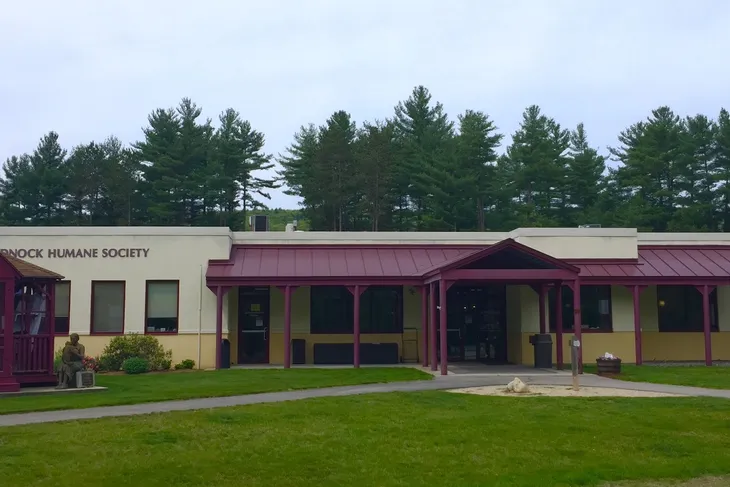 Swanzey Animal Control