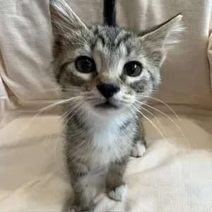 Earl