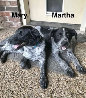 Mary
